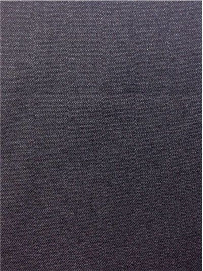 GZ-SGDE 西裝布024 正面照